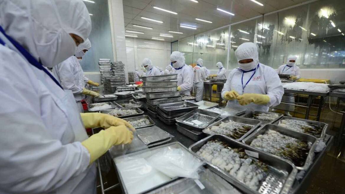 Shrimp and fish exports increase sharply in China, Japan, EU