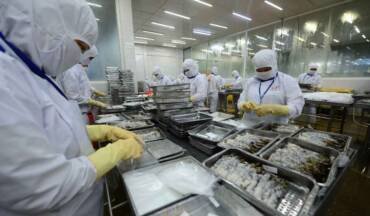 Shrimp and fish exports increase sharply in China, Japan, EU