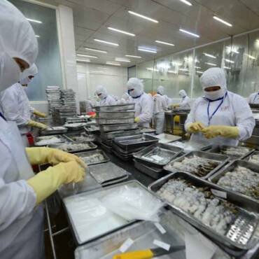 Shrimp and fish exports increase sharply in China, Japan, EU