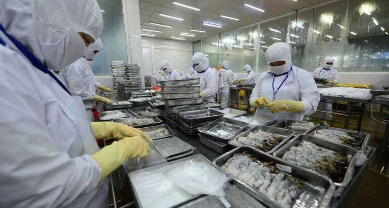 Shrimp and fish exports increase sharply in China, Japan, EU