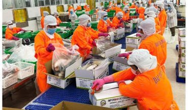 Agricultural and aquatic product exports win big