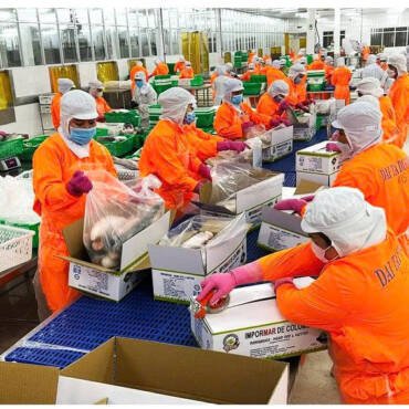 Exports of agricultural, forestry, and aquatic products exceeded $30 billion after 5 months, resulting in a trade surplus of over $8.4 billion.