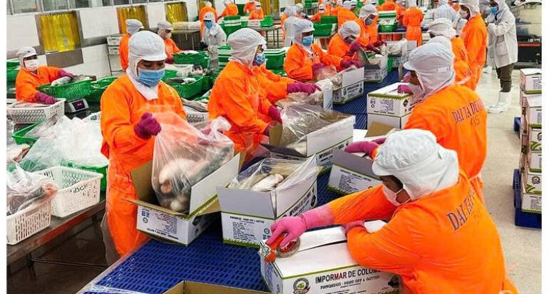 Agricultural and aquatic product exports win big