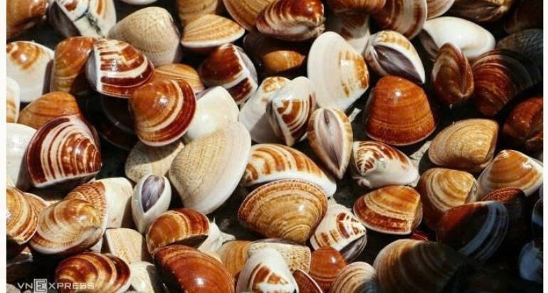 Europe loves Vietnamese steamed clams