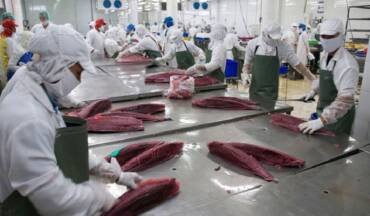 Seafood exports to the EU in 2026: Seafood traceability system will tighten control