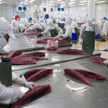 Seafood exports to the EU in 2026: Seafood traceability system will tighten control