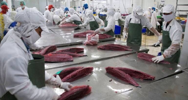 Seafood exports to the EU in 2026: Seafood traceability system will tighten control