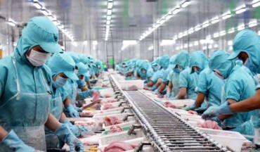 Europe tightens traceability of seafood