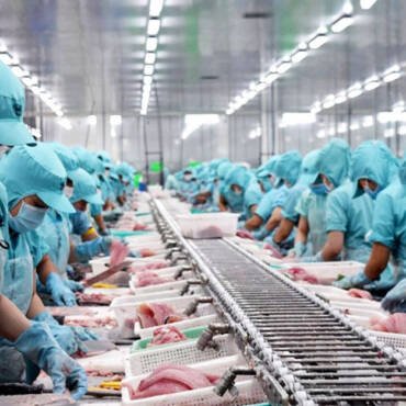 Europe tightens traceability of seafood