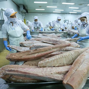 Tuna exports in 9 months: Decline in the US, acceleration in the EU and CPTPP