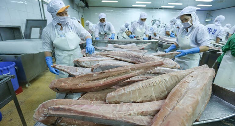 Tuna exports in 9 months: Decline in the US, acceleration in the EU and CPTPP