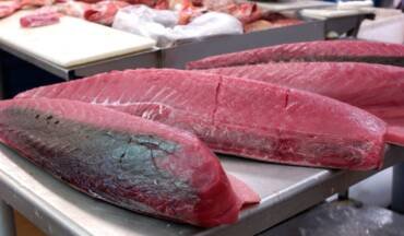 Tuna and the dream of a 0% tariff