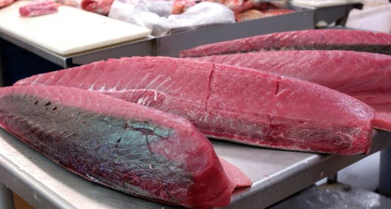 Tuna and the dream of a 0% tariff