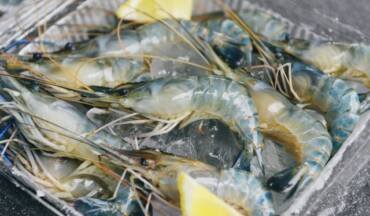 Looking back at seafood exports in the first 10 months, which reached $9.5 billion, lobster and tilapia were the highlights.