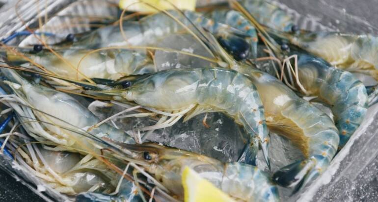 Looking back at seafood exports in the first 10 months, which reached $9.5 billion, lobster and tilapia were the highlights.