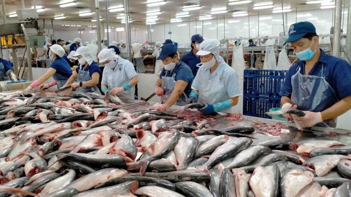 VASEP proposes removing obstacles related to VAT for the seafood industry
