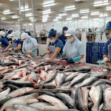 VASEP proposes removing obstacles related to VAT for the seafood industry