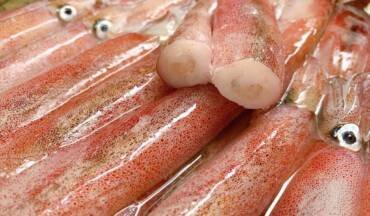 Vietnam’s squid and octopus exports surge in Asian markets.