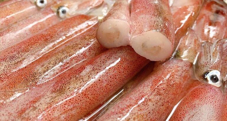 Vietnam’s squid and octopus exports surge in Asian markets.