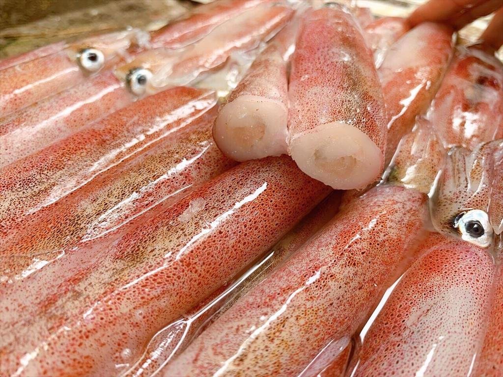 Vietnam’s squid and octopus exports surge in Asian markets.