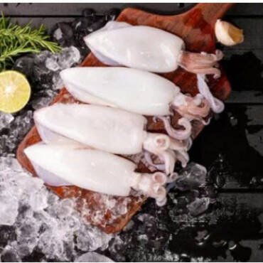 The Loligo squid fishing season in the Falkland Islands yielded 42,000 tons.