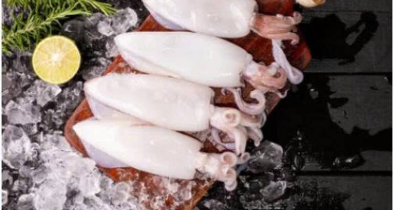 The Loligo squid fishing season in the Falkland Islands yielded 42,000 tons.