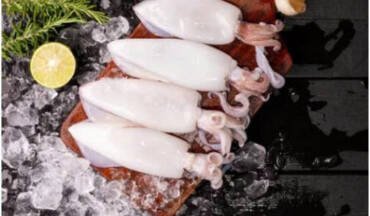 The Loligo squid fishing season in the Falkland Islands yielded 42,000 tons.