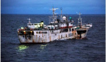 Illegal fishing accounts for up to 15% of the global natural seafood catch.