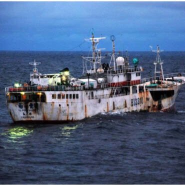 Illegal fishing accounts for up to 15% of the global natural seafood catch.
